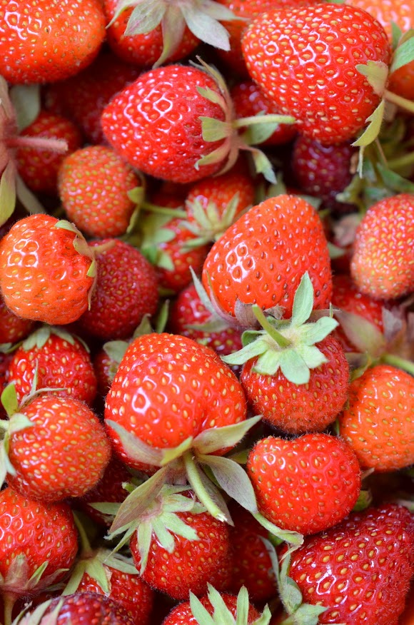 Bild von frischen, saftigen Erdbeeren in Nahaufnahme.