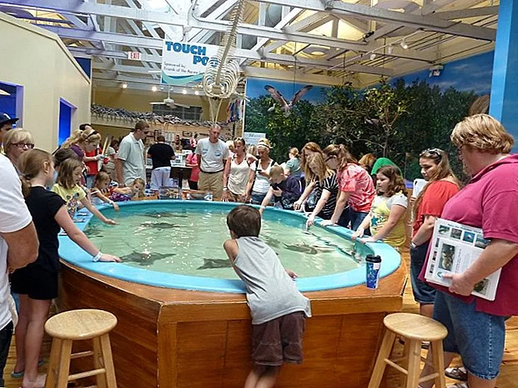 Florida Aquarium