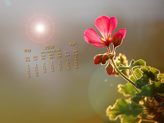 May 2010 Calendar Wallpapers