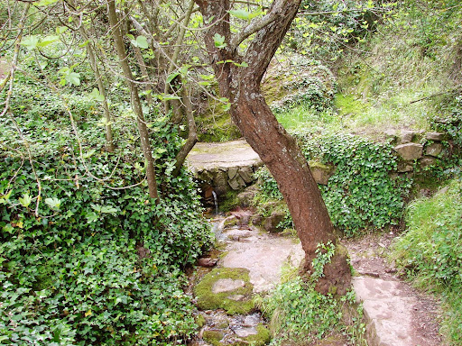 Senderismo: Barranco de Aguas Negras
