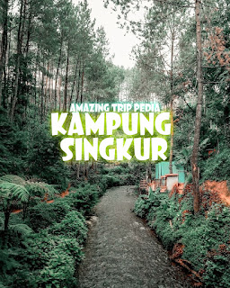 Foto Instagram Kampung Singkur