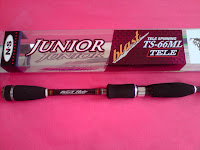 Black Hole Junior3