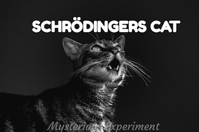 Schrodingers cat experiment