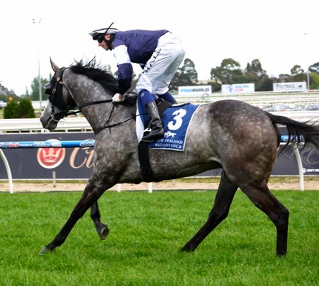 race 6_fawkner 1