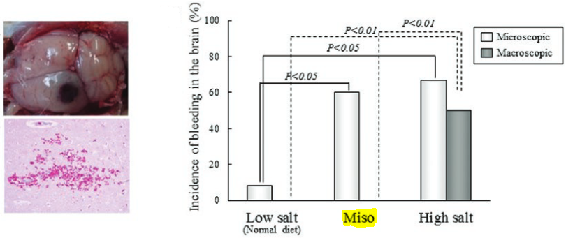 図：味噌の塩分とミクロの出血
