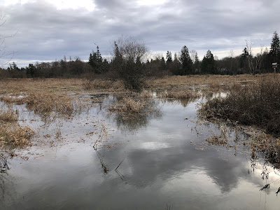 Nicomekl Floodplain