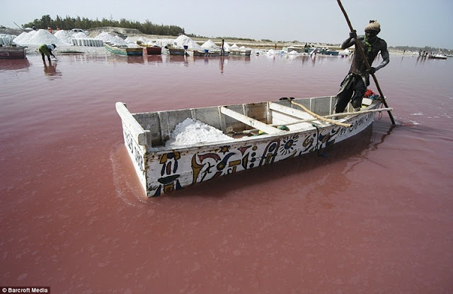 lake retba 1%5B2%5D بحيرة  ريتبا أو روز  بحيرة وردية تشعُر وكإنها كوب حليب ممزوج بالفرولة !!