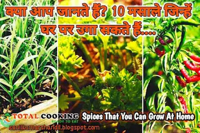 क्या आप जानते हैं? 10 मसाले जिन्हें घर पर उगा सकते हैं | Spices That You Can Grow At Home in Hindi