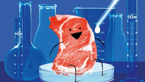 Lab-Grown Meat: The Future of Sustainable Eating?