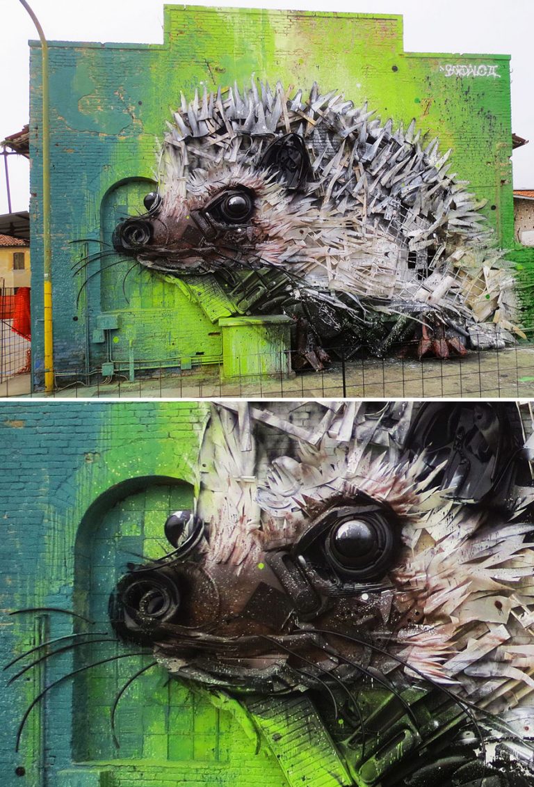 Street Artist Transforms Ordinary Junk Into Animals To Remind About Pollution - Hedgedog