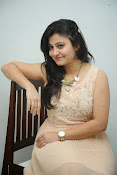 vaishali patel latest glamorous photos-thumbnail-22