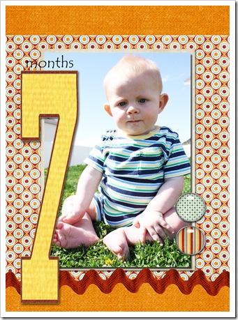 7 months copy