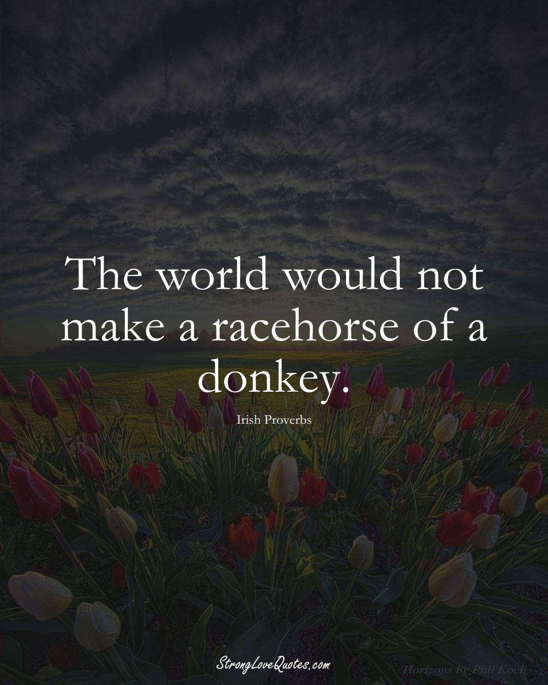 The world would not make a racehorse of a donkey. (Irish Sayings);  #EuropeanSayings