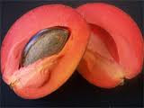 Sawo Mamey Sapote | daging buah lembut | lunak.
