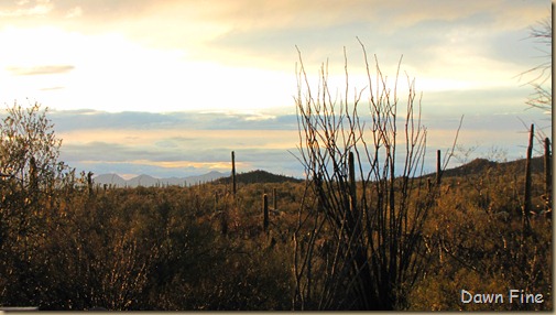 rainbow desert_025