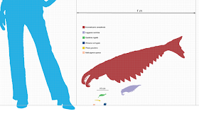 Comparativa tamaño Anomalocaris