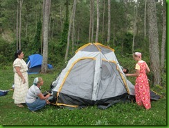 IMG_2687 (2)