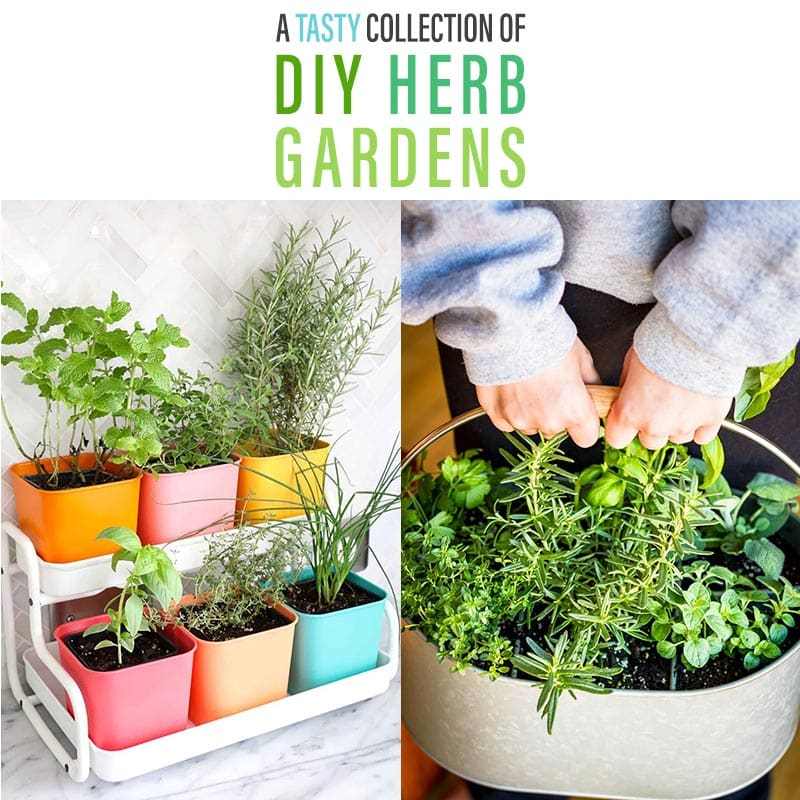A Tasty Collection Of Diy Herb Gardens