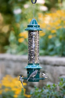 Squirrel Buster Bird Feeder, Works Use The Fact That Squirrels Are Heavier Than Birds