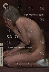 Salo