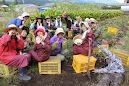 天然循環経済学への系譜／二宮尊徳と大原幽学