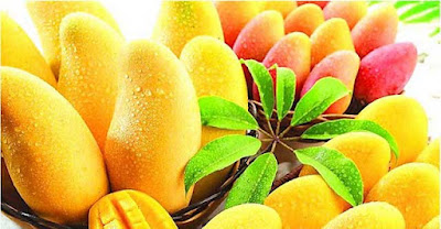 King of fruits - Mangoes