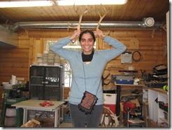 female antlers
