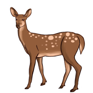 how to draw deer - step 8