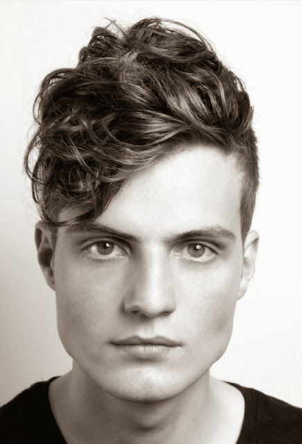 Mens Hairstyles 2013