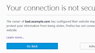 How to access a website that shows Your connection is not secure?