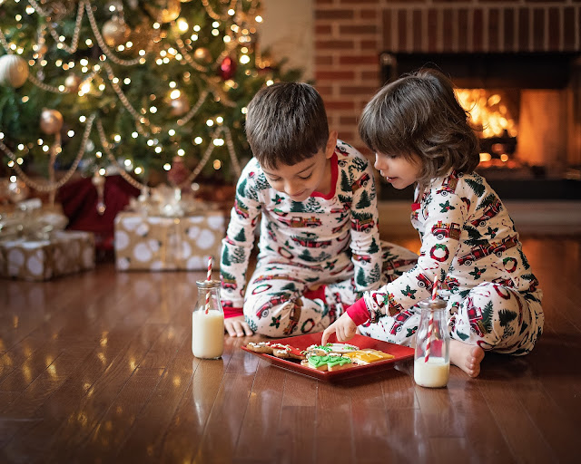 Christmas Minis Mini Session DeKalb Sycamore Rockford IL