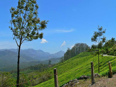 munnar photos-13