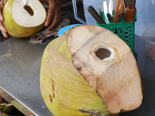 Buah Kelapa Muda/Degan (Cocos nucifera)