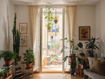 Charmoso pequeno apartamento cheio de plantas