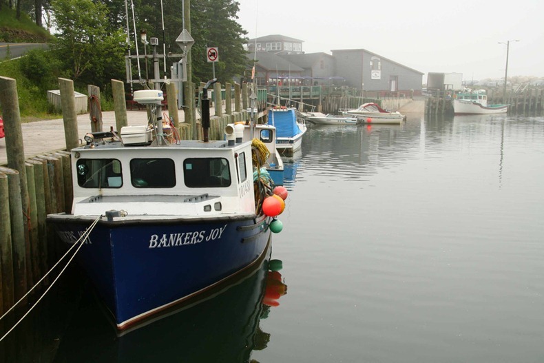 bay-of-fundy-2