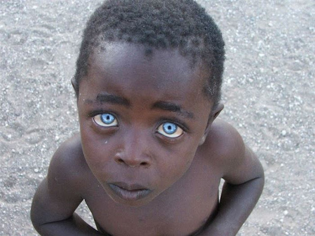 Saphire eyes