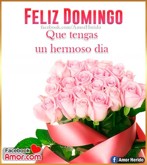 tarjeta feliz domingo