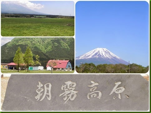 DSCN6290_Fotor_Collage