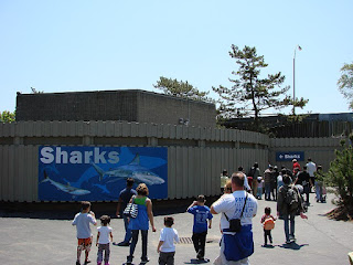 The New York Aquarium is the oldest aquarium in the United States