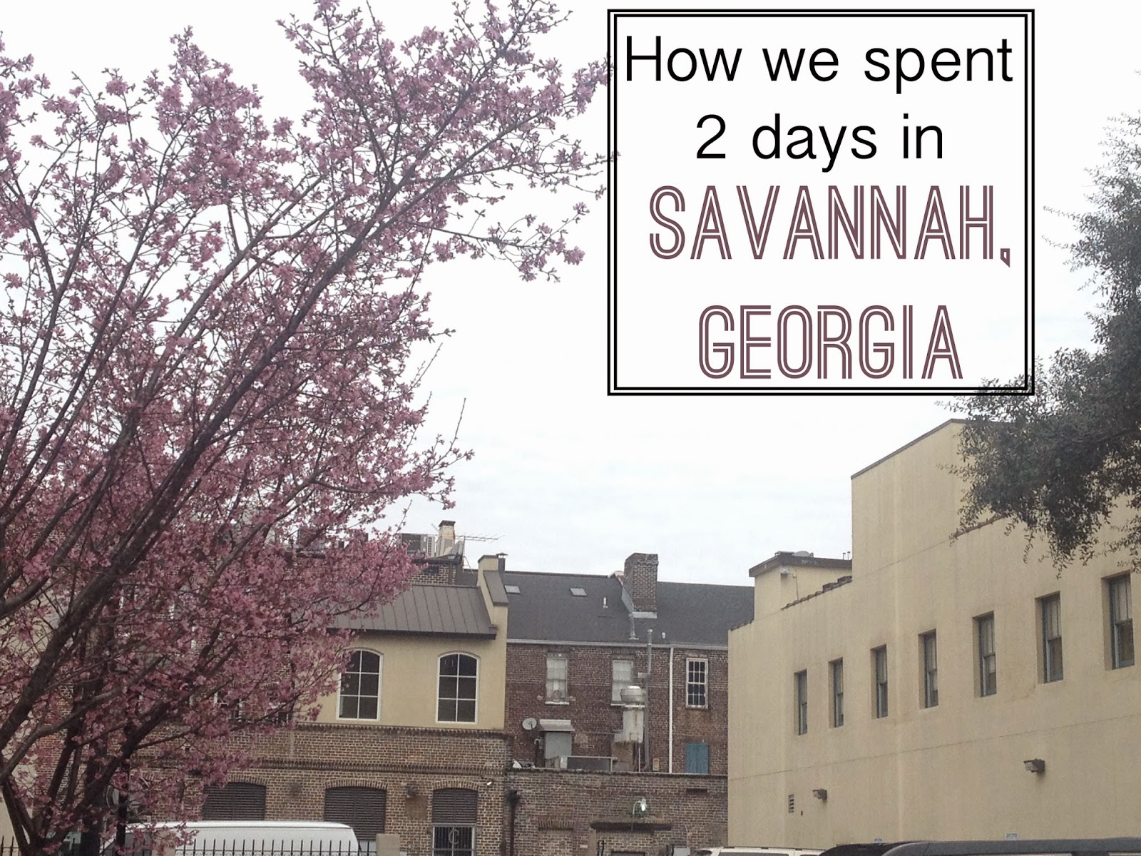 Toews Adventure How We Spent 2 Rainy Days In Savannah Ga