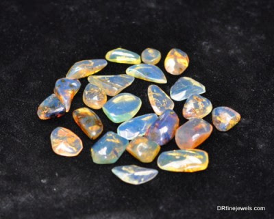 Dominican amber