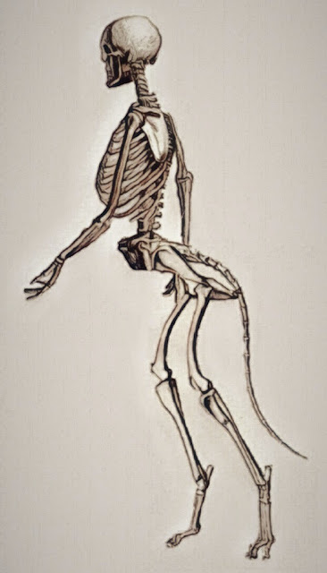 Adlet Skeleton