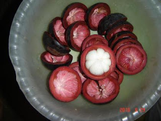 The benefits of consuming mangosteen