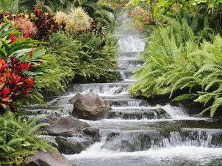 Tropical waterfall with greenery on both sides