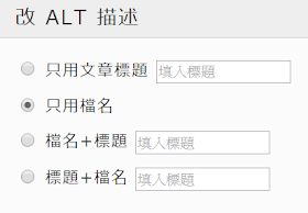 img-alt-generator-options-圖片 ALT 描述自動產生器