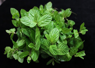 Daun Mint