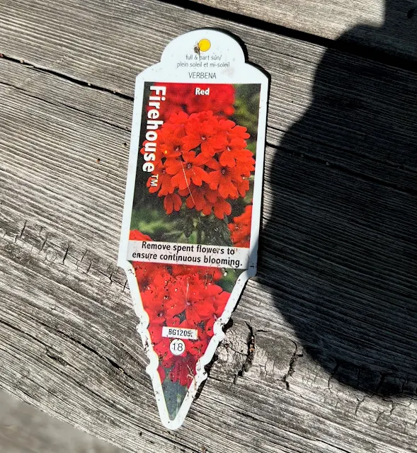 Photo of a plant marker from a Firehouse Red Verbena.