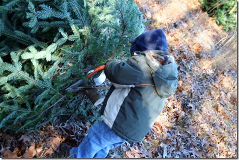 OChristmasTree-25