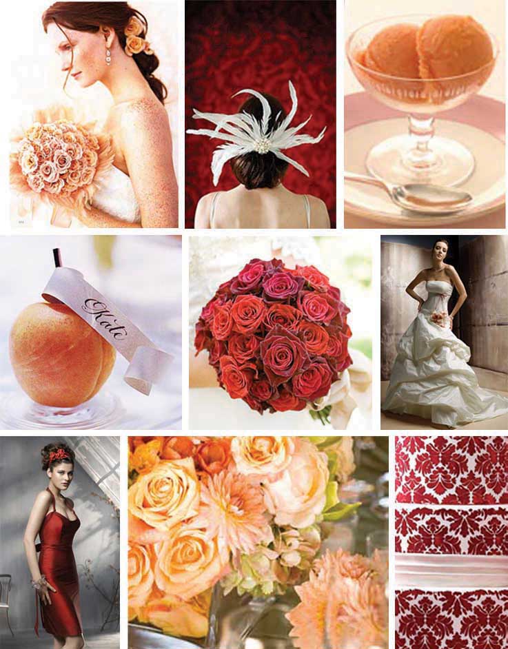 Peach Red Inspiration Board Light More Cool Color Combos