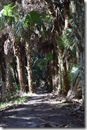 LJ Trailview 3
